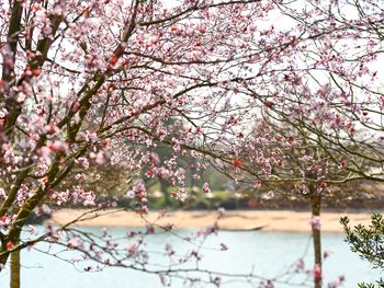 Ei-nsteigen, bitte! Dein Herz macht Osterurlaub 5