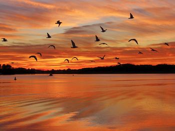 Mecklenburgische Seenplatte im Schlosshotel - 9 Tage Urlaub mit Frühstück