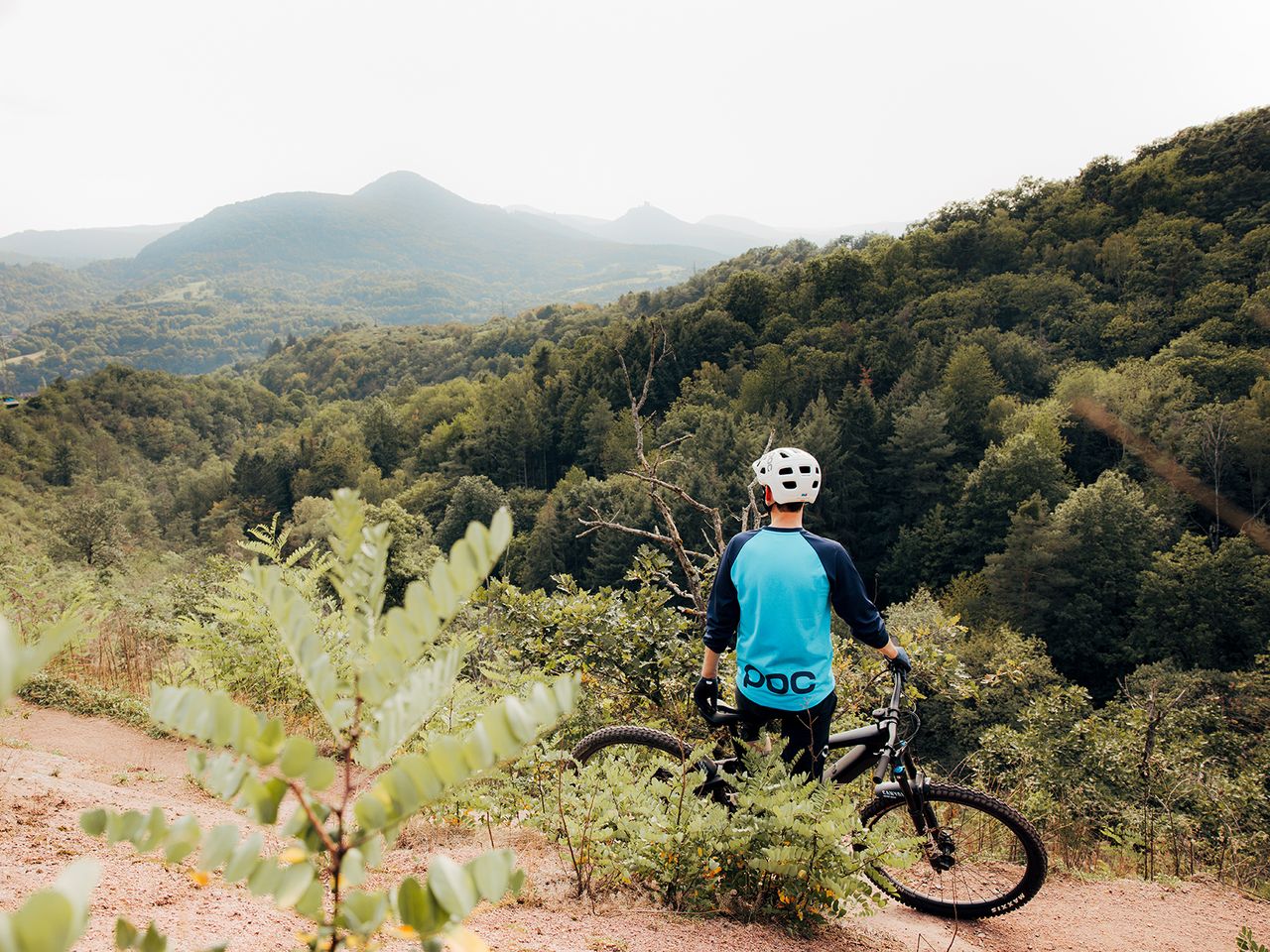 Sattelfest - Mit dem E-Bike durch die Pfalz HP | 5Tg.