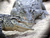 Tierpark und Tropen Aquarium Hagenbeck in Hamburg mit Hotel