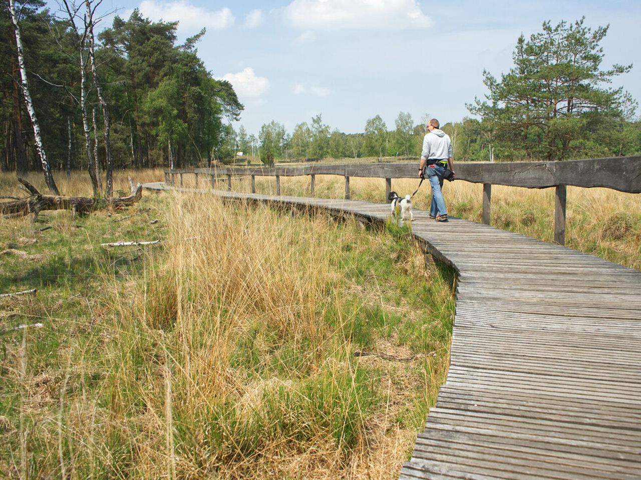 3 Tage Wandern im Naturpark Hohe Mark am Niederrhein