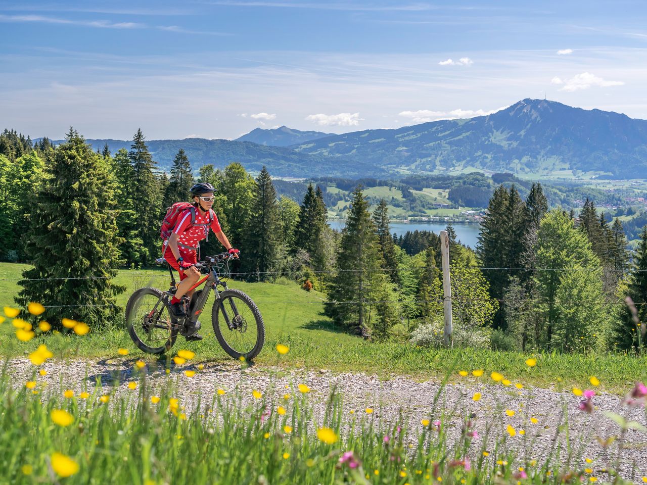 Griaß di GAMS im Allgäu  - 3 Nächte