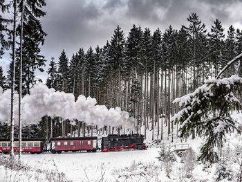 Verlängertes Harz-Wochenende