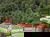 Radl-Mekka Bayerischer Wald inkl. HP | 5 Tage