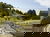 Urlaub mit Hund im Schwarzwald I 6 Tage