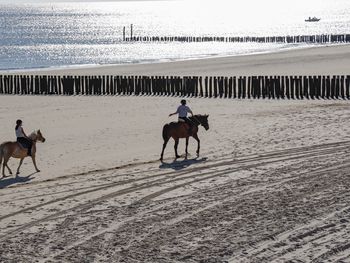 Küstenzauber an der niederländischen Nordsee - 5 Tage