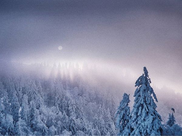 3 Tage Weihnachtsziit – schöne Ziit in Elzach, Baden-Württemberg inkl. Halbpension