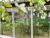 5 Tage Familienzeit im Spreewald