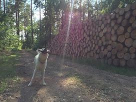 5 Tage Aktiv- und Familienauszeit in der Winterberger Bergwelt mit Halbpension