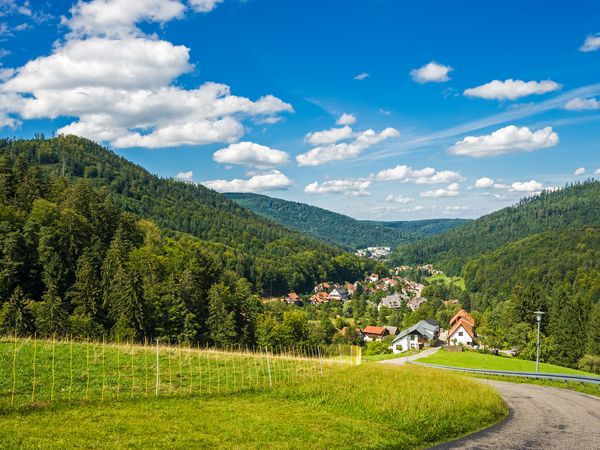 4 Tage Urlaub im Schwarzwald für Erholungssuchende in Bad Herrenalb, Baden-Württemberg inkl. Halbpension