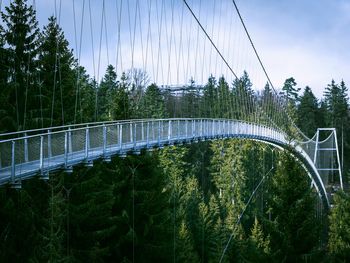 Wanderspaß im Nordschwarzwald: 8 Tage aktive Auszeit