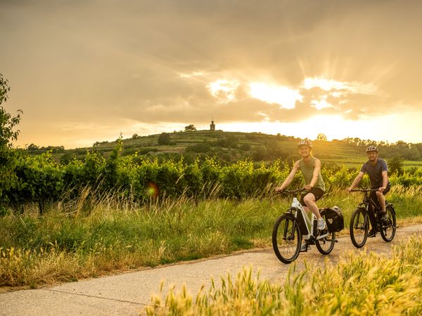 Aktivauszeit: mit dem Rad die Pfalz entdecken /3 Tage in Neustadt an der Weinstraße Frühstück