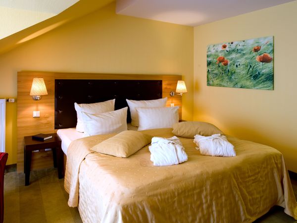 2 Tage Romantikwochenende im Habichtstein in Alexisbad, Sachsen-Anhalt inkl. Frühstück