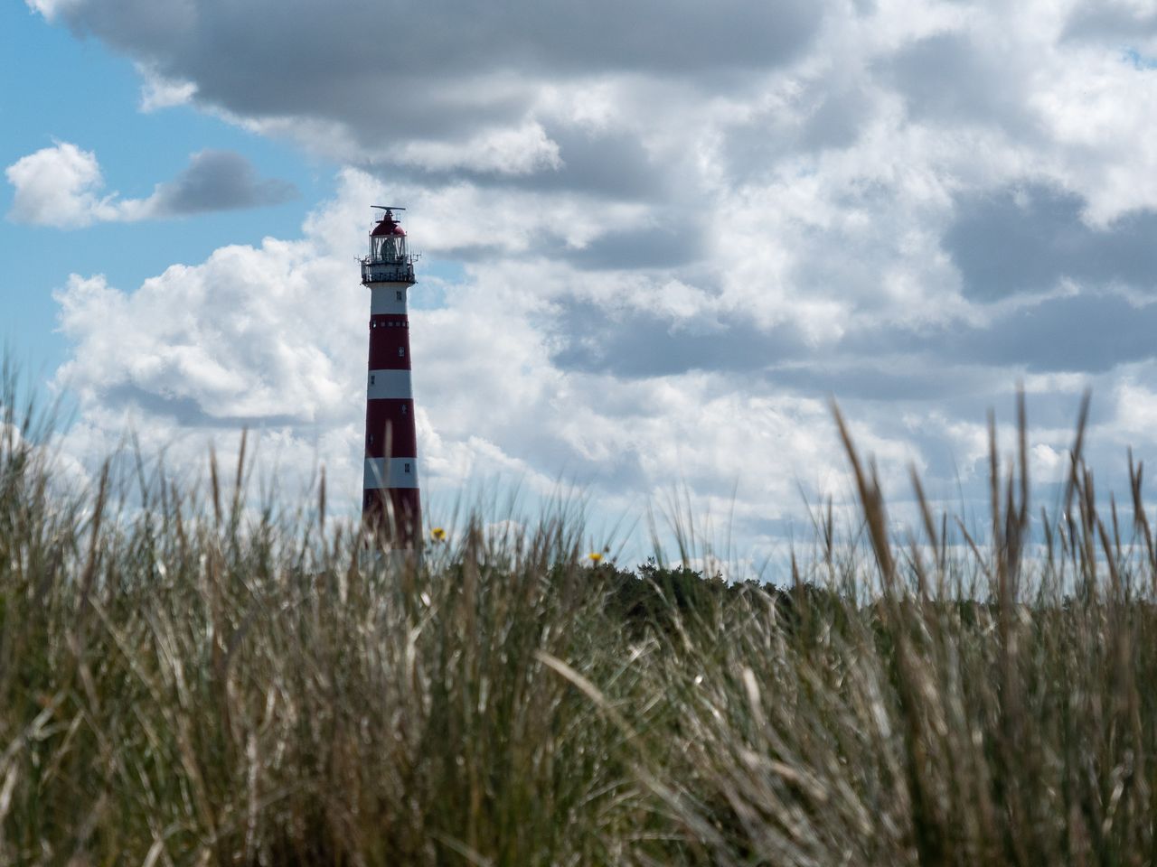 5 Tage Strandparadies Ameland Natur und endlose Weite