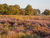 Rundum Sorglos Paket - 3 Tage All-Inclusive