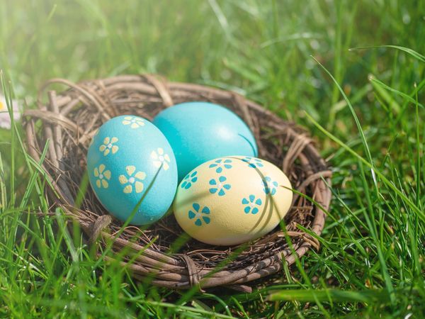 5 Tage Oster-Kurzurlaub mit Therme & Massage in Bad Füssing, Bayern inkl. Halbpension