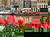 3 Tage Designhotel Amsterdam – Stil, Stadt & Skyline