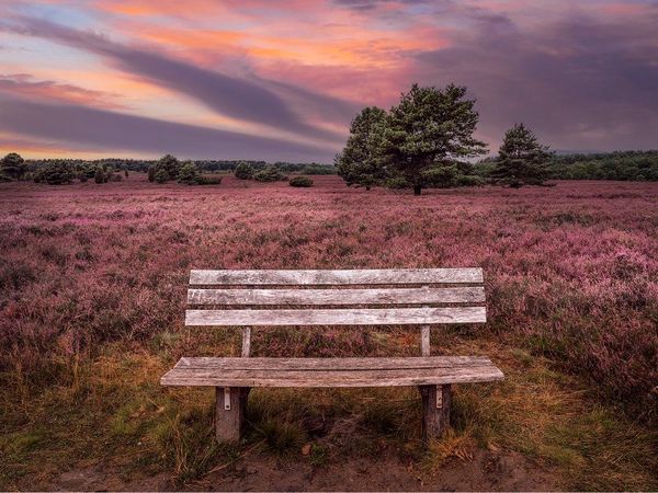 Alles Heide 7 Nächte in Bad Bevensen Halbpension