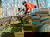 8 Tage inmitten der Natur - Seehotel mit Flair