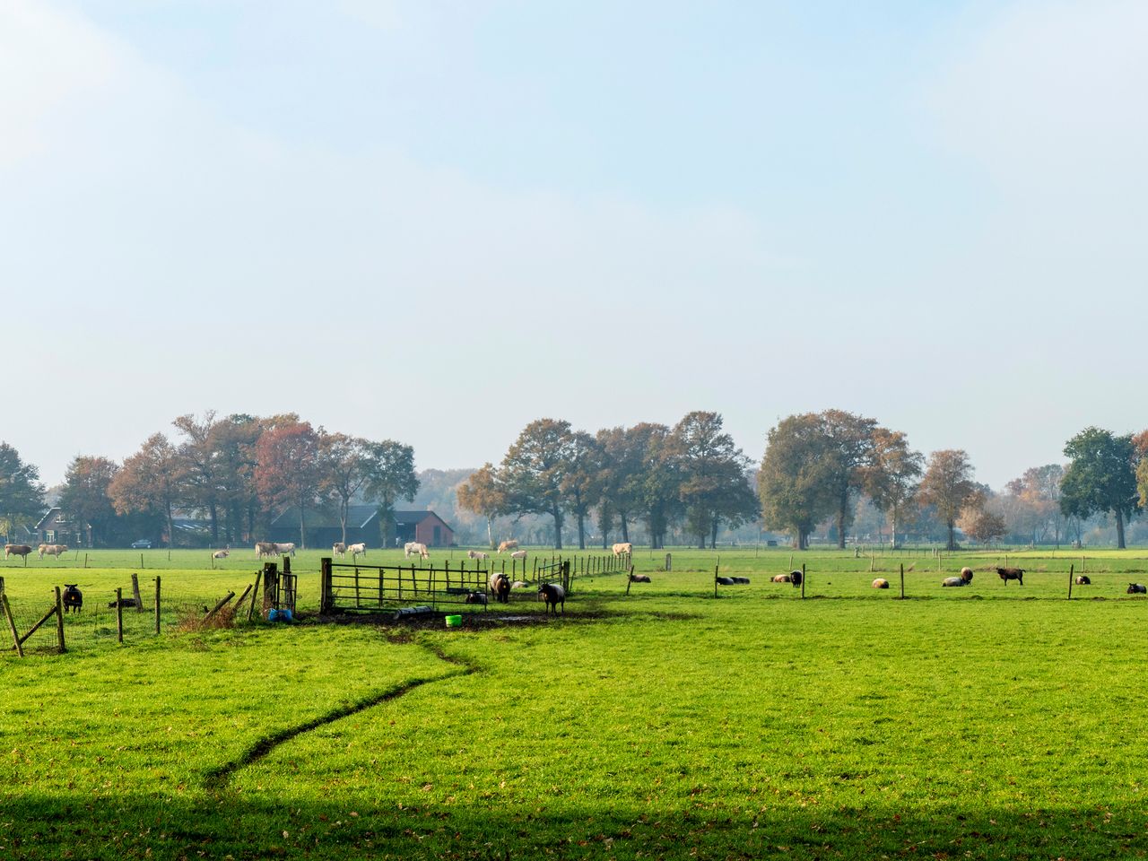 3 Tage märchenhafter Aufenthalt in Gelderland