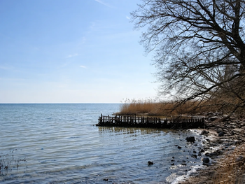 Bild 19 von 63