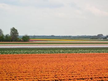 Nordsee-Auszeit mit Wellness mit Frühstück - 3 Tage