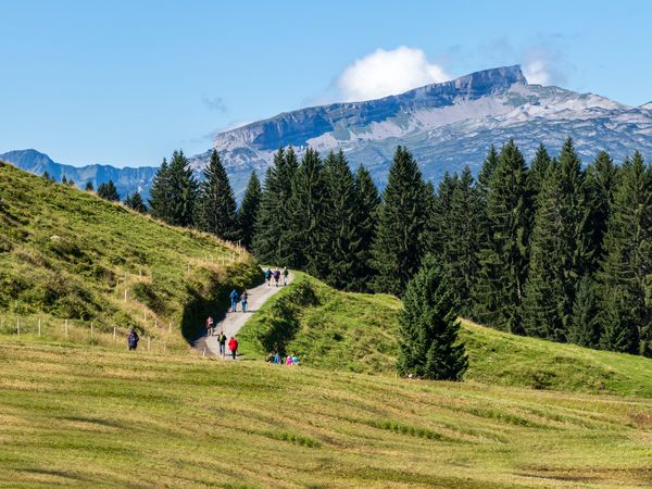 9 Tage Auszeit im schönen Hotel Waldhaus Am See in Valbella, Graubünden inkl. Halbpension