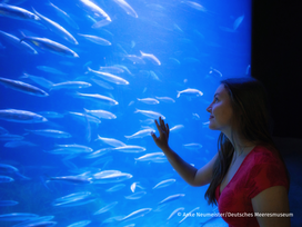 OZEANEUM Stralsund mit Ticket und Hotel