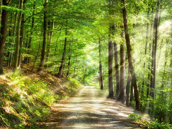 Alb erleben & Wandern | 8 Tage Kurzurlaub in Donzdorf, Baden-Württemberg inkl. Halbpension