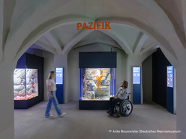 Meeresmuseum Stralsund mit Ticket und Hotel