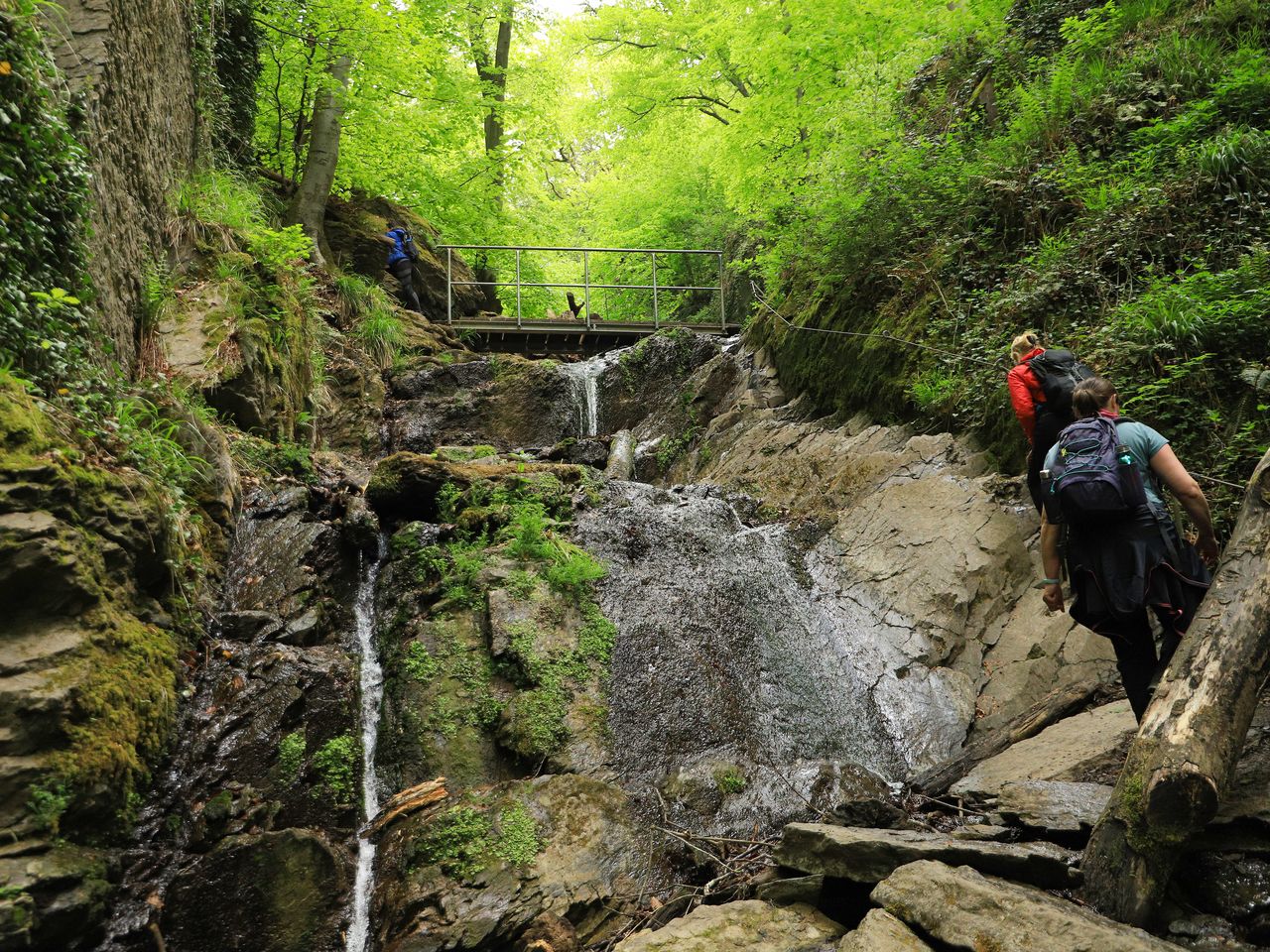 Entdecken Sie den Rhein und seine Umgebung - 6 Tage