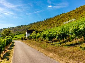 Kurztrip mit dem eigenen Rad - Naumburg & Umgebung erleben