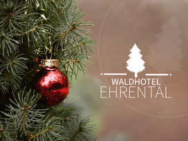 4 Tage Weihnachten im malerischen Ehrental/Rennsteig