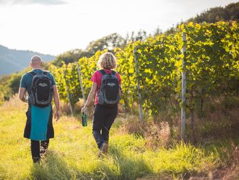 Halfenkurzwoche an der Mosel