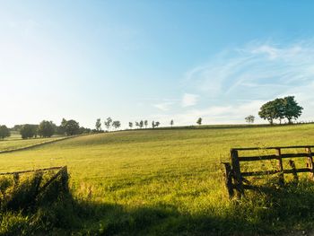 3 Tage Natur pur: Wandern & Radfahren in Winterberg