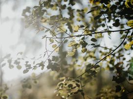 Genießer-Tage im schönen Erzgebirge