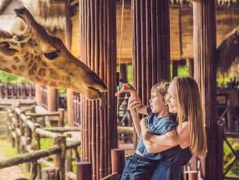2 Tage Kurzurlaub mit Frühstück im Safari Hotel Beekse Bergen