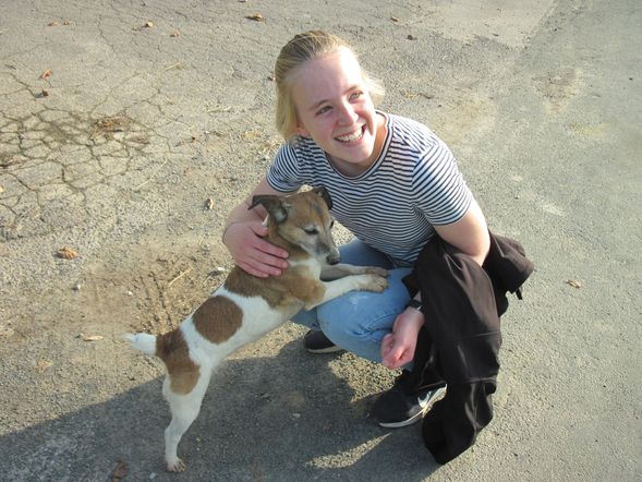 3 Tage "Mein Hund & Ich" im Teutoburger Wald / mit HP