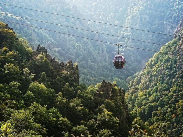 Erholung pur im Harz I 7 Tage Kurzurlaub in Bad Lauterberg, Niedersachsen inkl. Frühstück