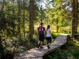 3 Schnuppertage im idyllischen Südschwarzwald