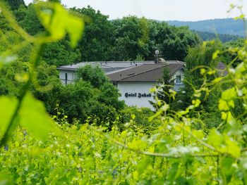 Silvester: Odenwald Kuschelurlaub vor den Weinbergen