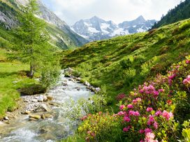 All Inklusive Sommerurlaub im Zillertal - 3 Tage