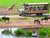 Serengeti-Park Hodenhagen mit Ticket und Hotel