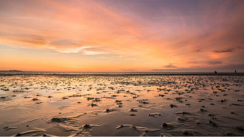 Wattenmeer