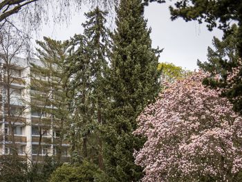 Wanderspaß in der Region Bad Kreuznach