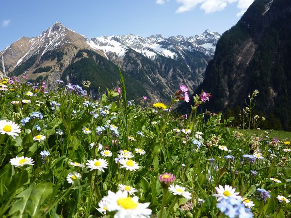 Urlaub genießen im Hotel Reitherhof in Reith bei Seefeld, Tirol inkl. Frühstück