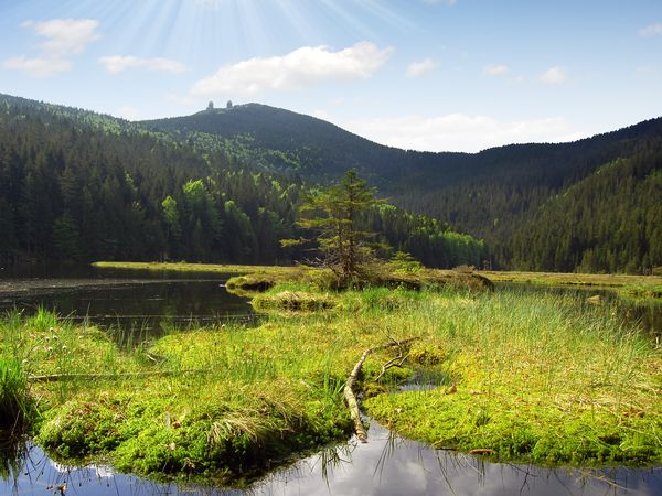 Auf nach Lam, Bayern inkl. Halbpension