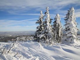Kurzurlaub in Niederbayern - 5 Tage in Spiegelau