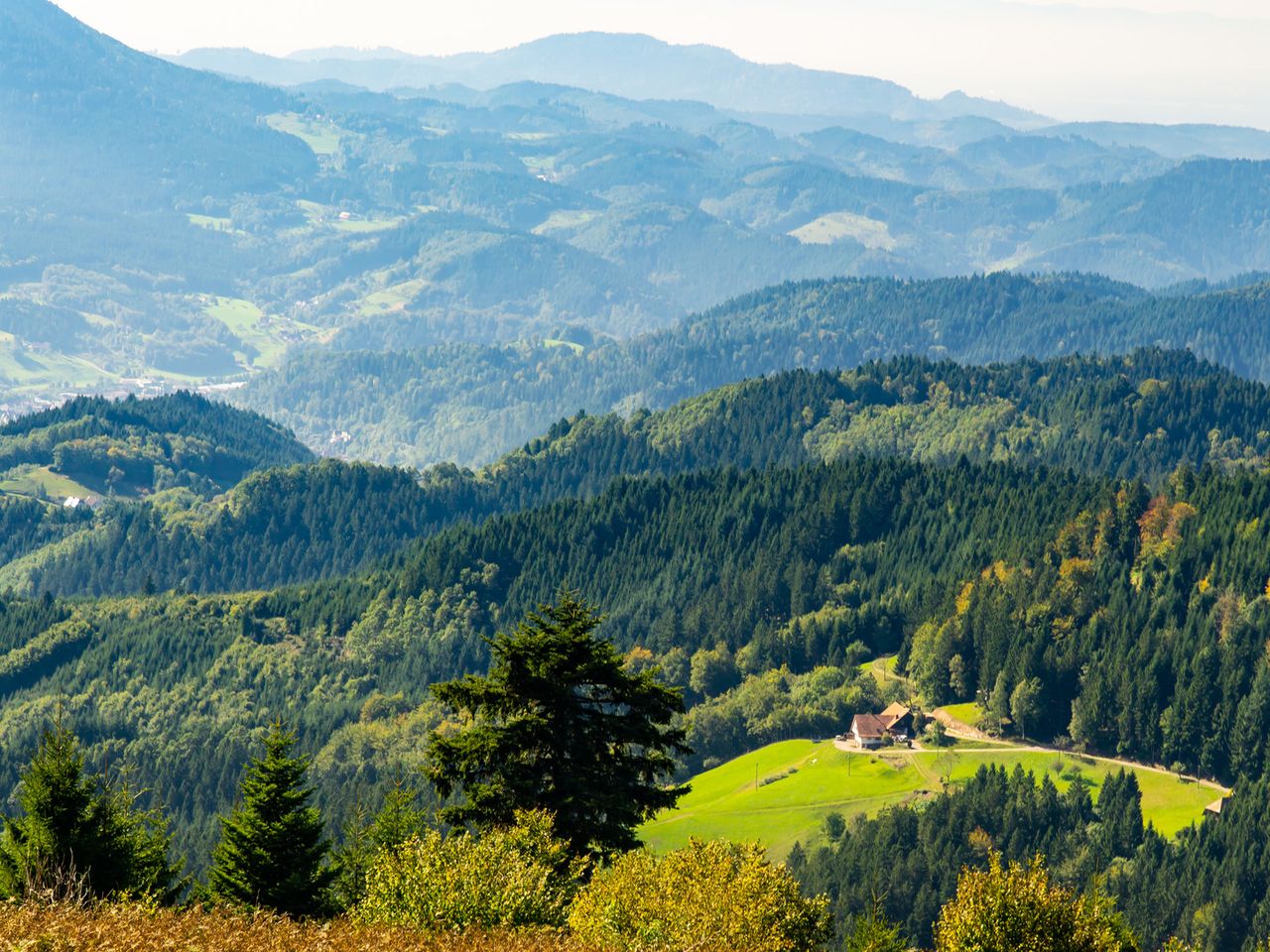 4 Tage Aktiv im Schwarzwald mit Lunchpaket