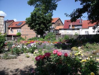 Bild 10 von 20